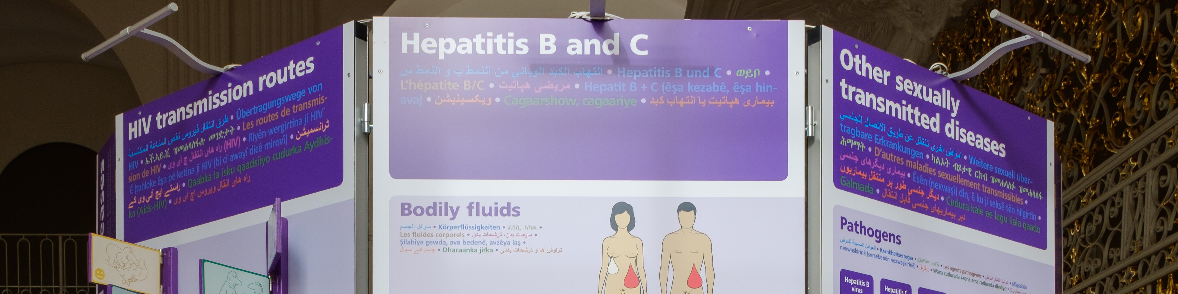 Info-Aufsteller über verschiedenen Themen aber im Vordergrund das Thema Hepatitis B und C | © Christian Müller