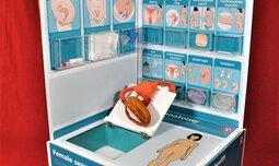 Info-Aufsteller zur Frauengesundheit der Ausstellung "Only Human in the Box" | © Caritas München und Oberbayern